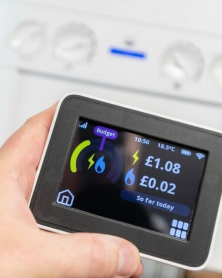 Les clients d'OVO ont gagné plus de 808 000 £ en déplaçant leur consommation d'énergie en dehors des heures de pointe : pouvez-vous économiser ?