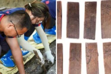 Percée archéologique grâce à la découverte d'un « calendrier céleste » dans une tombe vieille de 2 000 ans