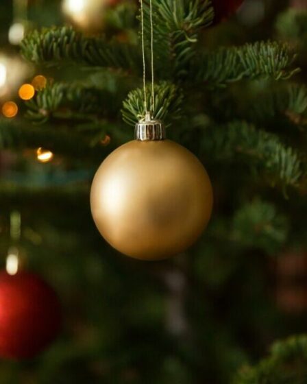 Quatre Britanniques sur dix prévoient de « réduire » leurs célébrations de Noël cette année, selon une étude