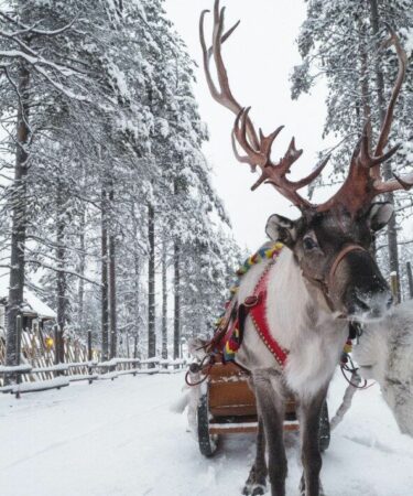 Rencontrer le Père Noël en Laponie en tête de liste des expériences de voyage de Noël de rêve pour les Britanniques