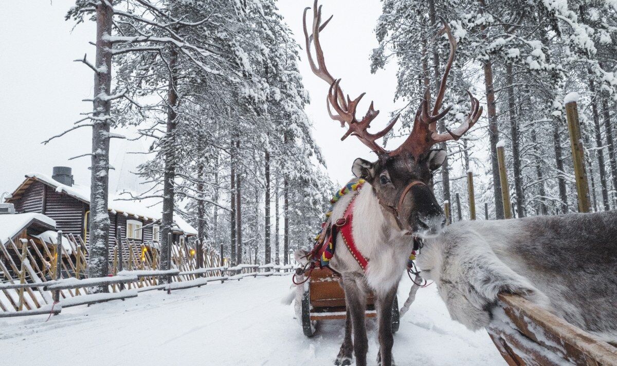 Rencontrer le Père Noël en Laponie en tête de liste des expériences de voyage de Noël de rêve pour les Britanniques