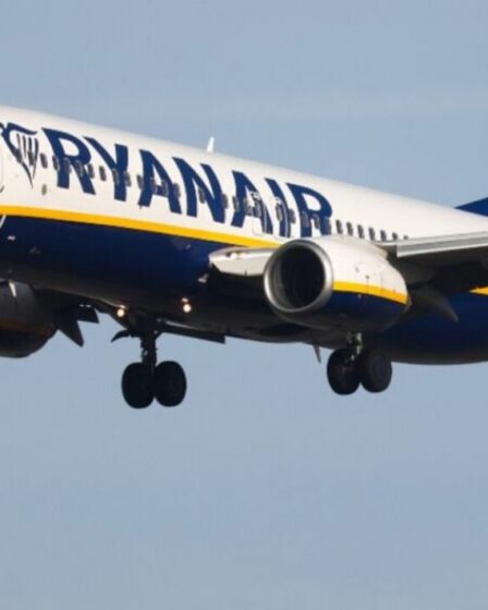 Ryanair émet un avertissement de vol pour les passagers alors que BA annule ses vols