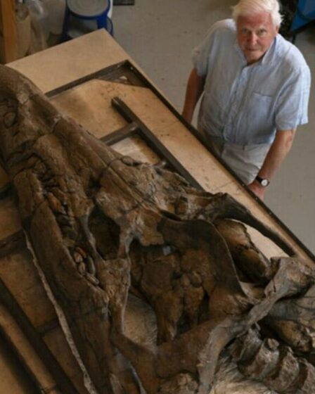 Des centaines de personnes voient le crâne de pliosaure rendu célèbre par le documentaire de Sir David Attenborough