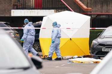 Fusillade à Londres DERNIÈRE: Un homme « armé d'une arbalète » abattu par la police à Southwark