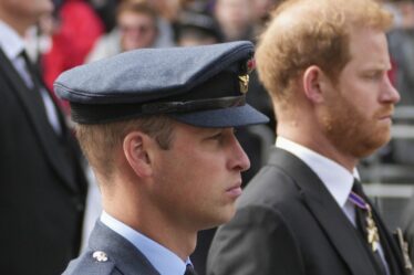 Le prince William et Harry « en sont presque venus aux mains » devant des amis des années avant leur querelle