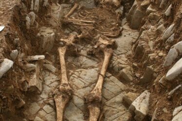 Les archéologues déconcertés après avoir découvert des squelettes vieux de 1 500 ans enterrés dans des positions étranges