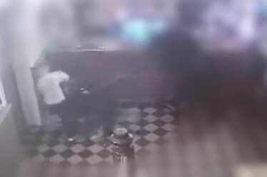 Moment d'horreur, le visage d'un garçon est « arraché » par un chien lors d'une attaque dans un pub