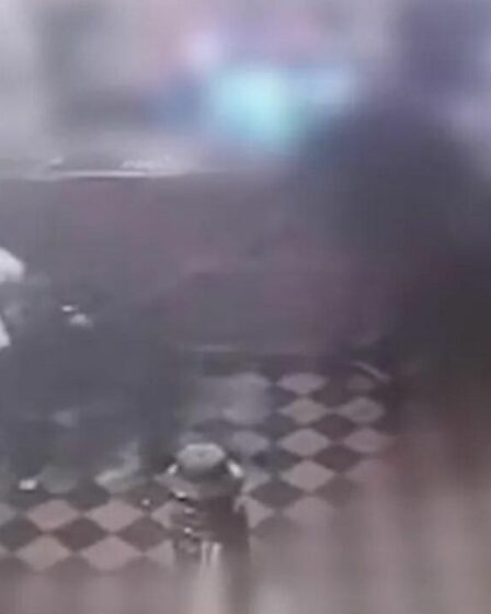 Moment d'horreur, le visage d'un garçon est « arraché » par un chien lors d'une attaque dans un pub