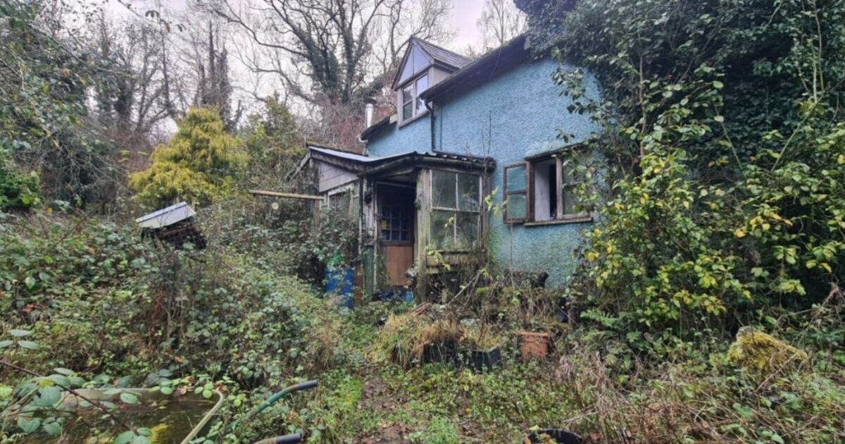 À l’intérieur de la maison britannique abandonnée d’un collectionneur, intacte depuis 20 ans