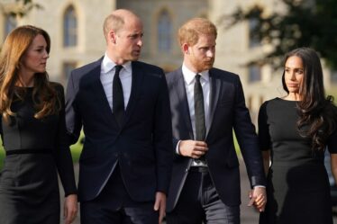 Il est peu probable que Meghan Markle revienne au Royaume-Uni après la visite du prince Harry