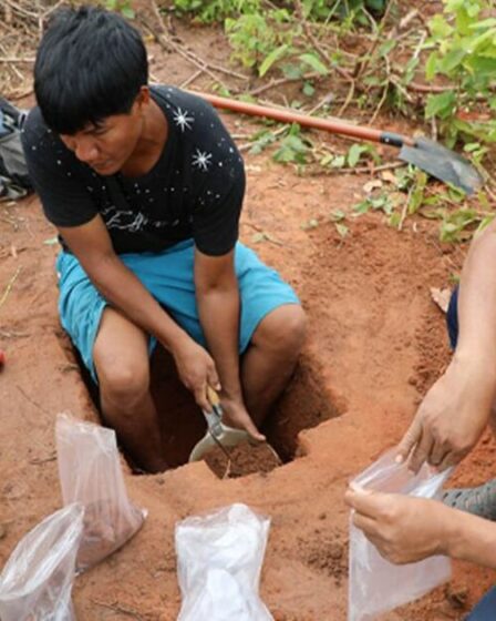 La mystérieuse « terre sombre » créée par les anciens Amazoniens pourrait être la clé du salut de l’humanité
