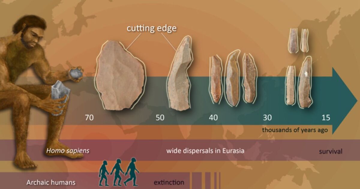 La théorie de l'évolution humaine pourrait être réécrite après une incroyable découverte vieille de 50 000 ans