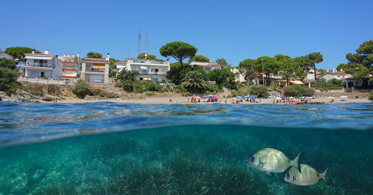 La ville balnéaire sous-estimée d'Espagne, où les Espagnols partent en vacances, possède la « meilleure plage tranquille »