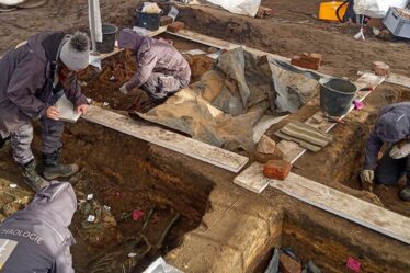 Les archéologues sont stupéfaits de découvrir une immense fosse à peste contenant 1 000 squelettes en Allemagne