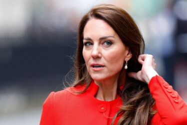 Un expert royal dénonce les commentaires « méchants » sur la princesse Kate : « En ligne, c'est un tel gouffre »