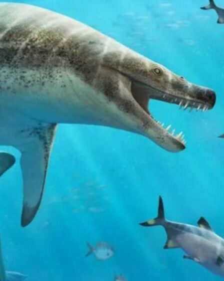Un fossile colossal de lézard de mer « cauchemardesque et bizarre » de l’ère des dinosaures trouvé dans une mine africaine