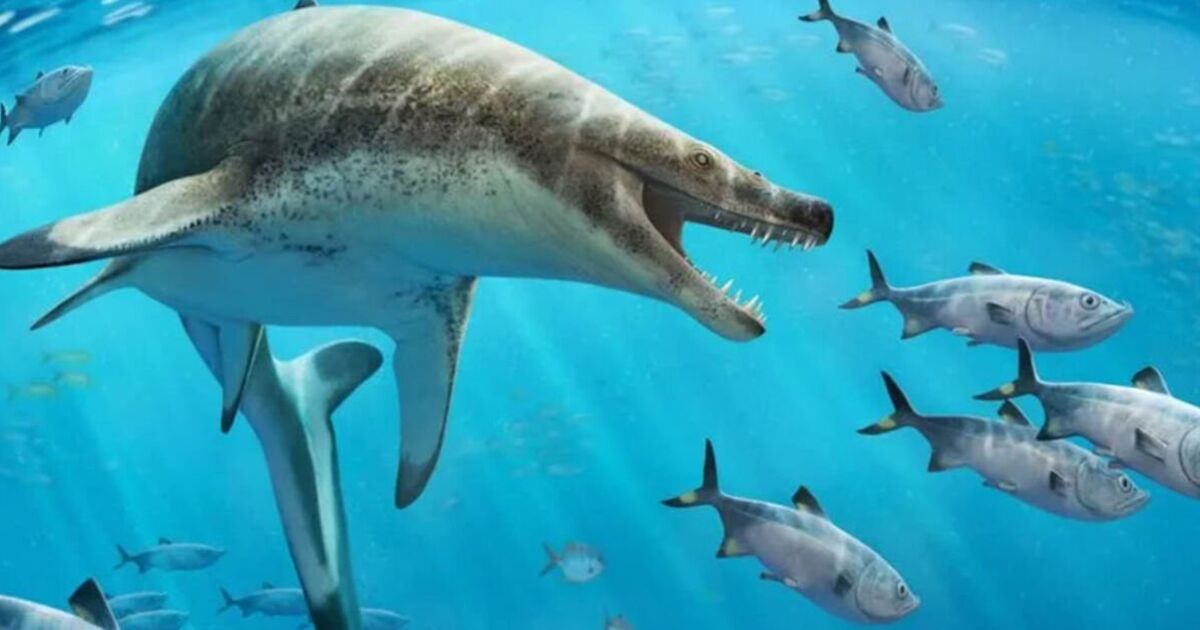 Un fossile colossal de lézard de mer « cauchemardesque et bizarre » de l’ère des dinosaures trouvé dans une mine africaine