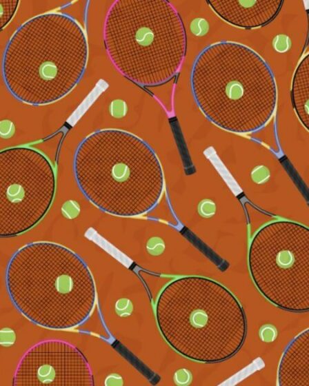 Seuls ceux qui ont la vue la plus perçante peuvent repérer la raquette cassée en 11 secondes.