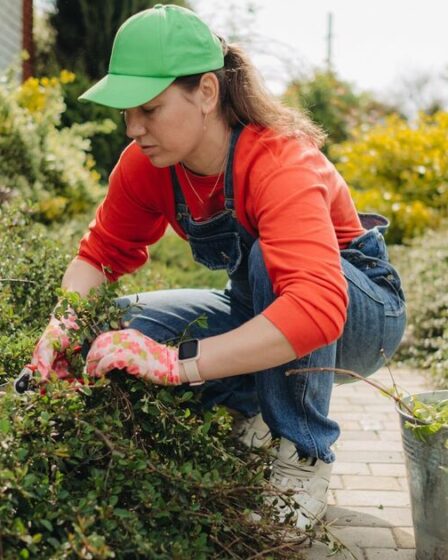 Un expert en jardinage partage un article ménager à 95 pence « meilleur » pour tuer les mauvaises herbes que pour les arracher