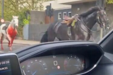 Buckingham Palace LIVE : des chevaux de cavalerie couverts de sang à Londres se déchaînent alors que 4 sont hospitalisés