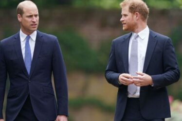 Famille royale EN DIRECT : le prince Harry n'a "pas d'autre choix" que de rencontrer le prince William lors de sa prochaine visite