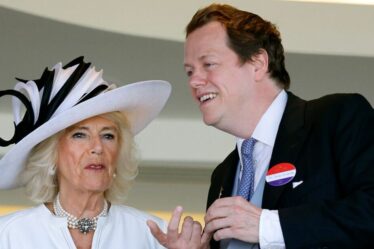 Le fils de la reine Camilla, Tom Parker-Bowles, dévoile le lancement d'un livre royal avec une tournure surprenante