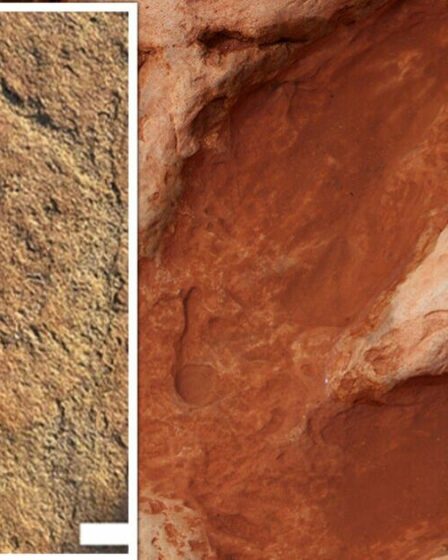 Les archéologues découvrent des empreintes de dinosaures géants « remarquables » « pas comme les autres »