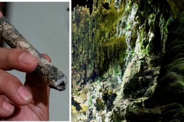 Les archéologues dévoilent le mystère d'une espèce humaine inconnue découverte sur une île asiatique