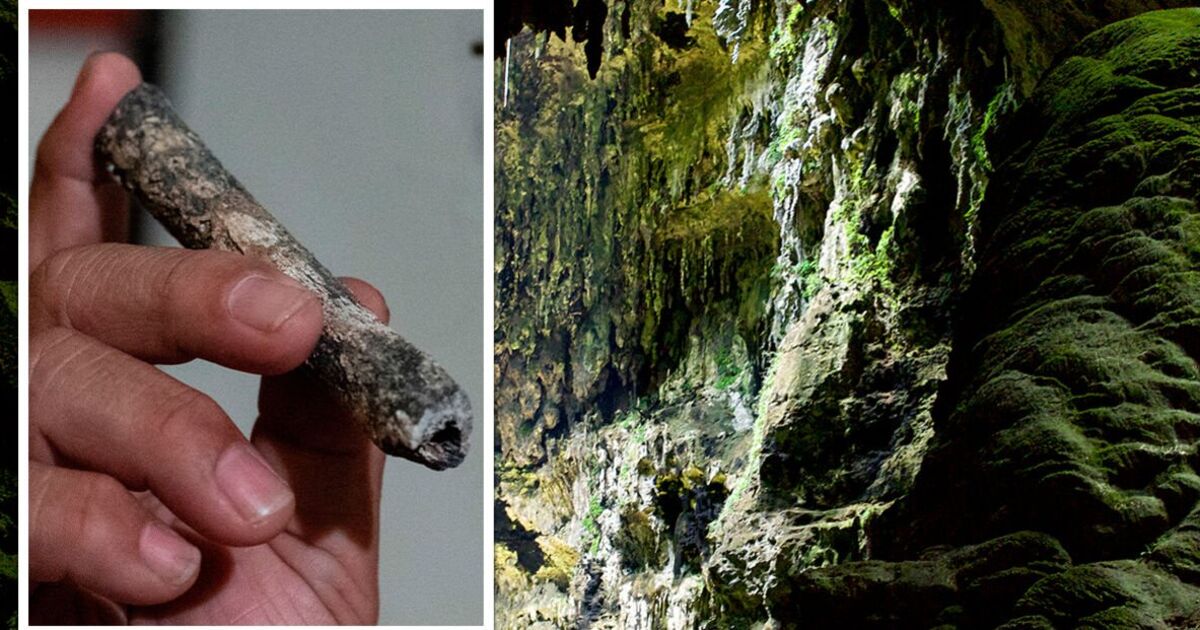 Les archéologues dévoilent le mystère d'une espèce humaine inconnue découverte sur une île asiatique