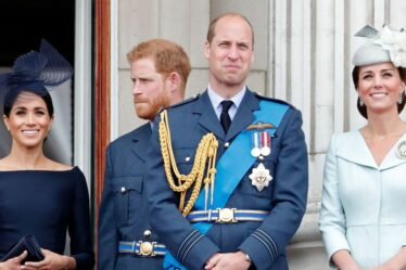 Meghan Markle a un « grief » empêchant le prince Harry de réparer sa querelle avec le prince William