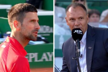 Novak Djokovic crie "ferme ta gueule" au spectateur alors que l'arbitre est obligé d'intervenir