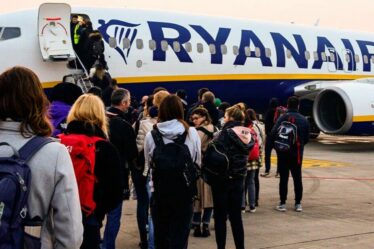 Ryanair exhorte les passagers à suivre la « règle d'or » lors de la préparation de leurs bagages à main