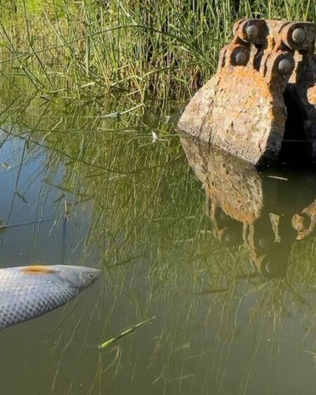 Un militant critique une entreprise de distribution d'eau qui privilégie « le profit avant l'environnement » dans le lac Winderemere