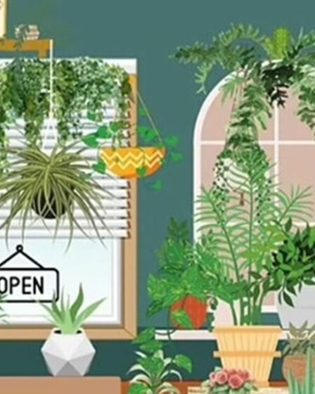 Seuls ceux qui ont un QI élevé peuvent résoudre ce casse-tête en 16 secondes