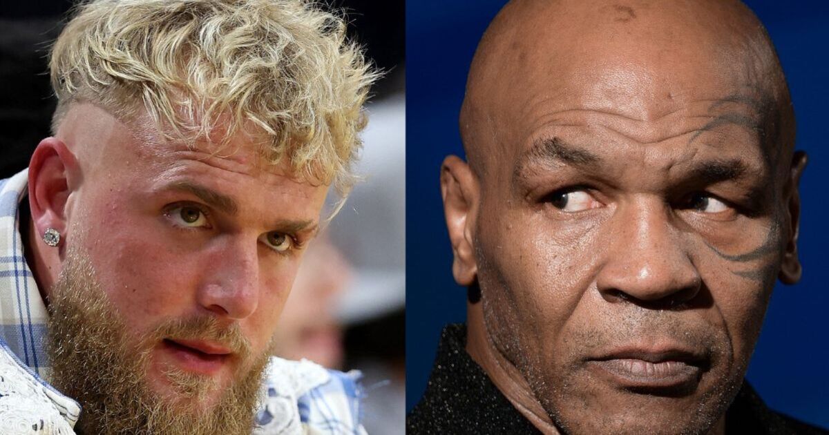 Billets Mike Tyson vs Jake Paul : 120 000 fans s'inscrivent en prévente malgré les critiques