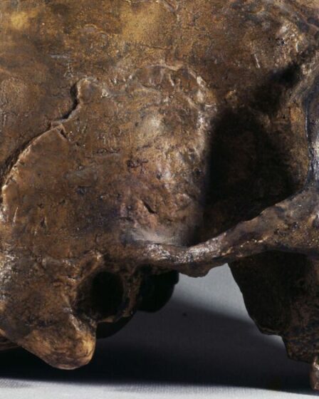 Des scientifiques veulent recréer un ancien virus de l'herpès trouvé dans l'ADN de Néandertal