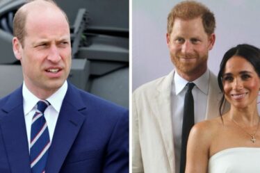 Famille royale EN DIRECT : la comparaison "insipide et offensante" de Meghan déchirée par William