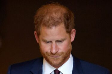 Famille royale EN DIRECT : le prince Harry « en larmes » après que le roi Charles lui ait donné un « coup de pied dans les dents »