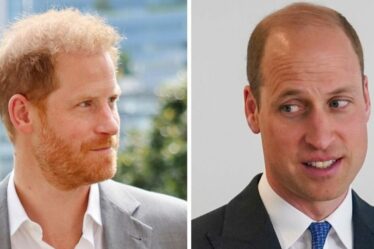 Famille royale EN DIRECT : le prince Harry subit un deuxième coup dur en 24 heures avec le snobisme du prince William
