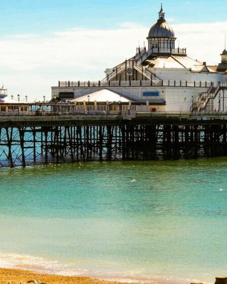 La jolie ville balnéaire du Royaume-Uni désignée comme le meilleur endroit à visiter pour les propriétaires de chiens