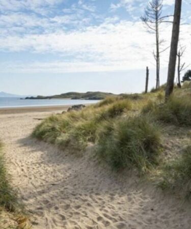 La magnifique plage du Royaume-Uni est un trésor de beauté naturelle – et elle accepte les chiens