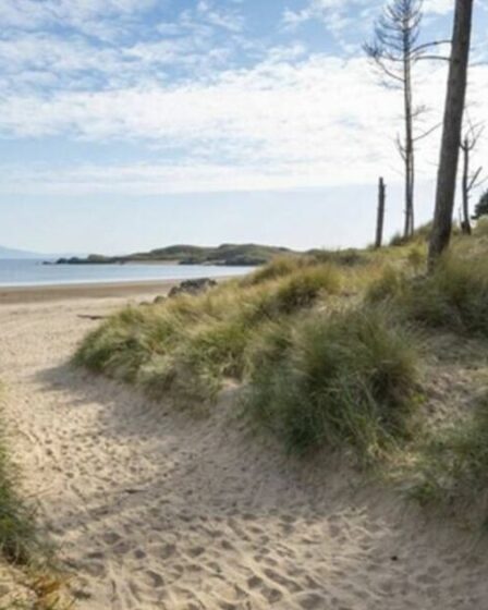 La magnifique plage du Royaume-Uni est un trésor de beauté naturelle – et elle accepte les chiens