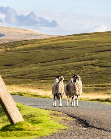 Le magnifique bourg britannique situé en bordure du Lake District, idéal pour se promener