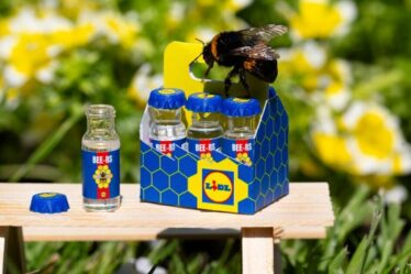 Lidl lance le plus petit pack de six au monde contenant du sirop de sucre pour les abeilles dans le besoin