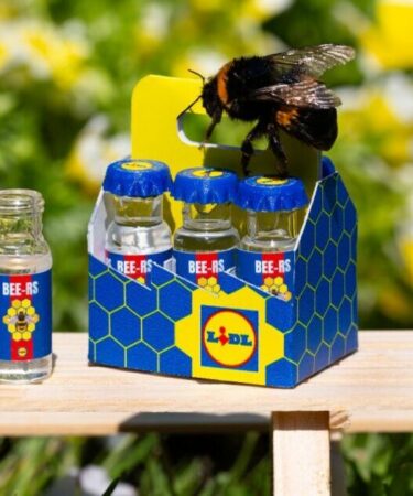Lidl lance le plus petit pack de six au monde contenant du sirop de sucre pour les abeilles dans le besoin