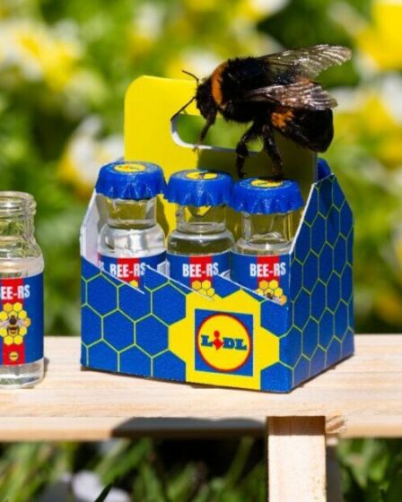 Lidl lance le plus petit pack de six au monde contenant du sirop de sucre pour les abeilles dans le besoin