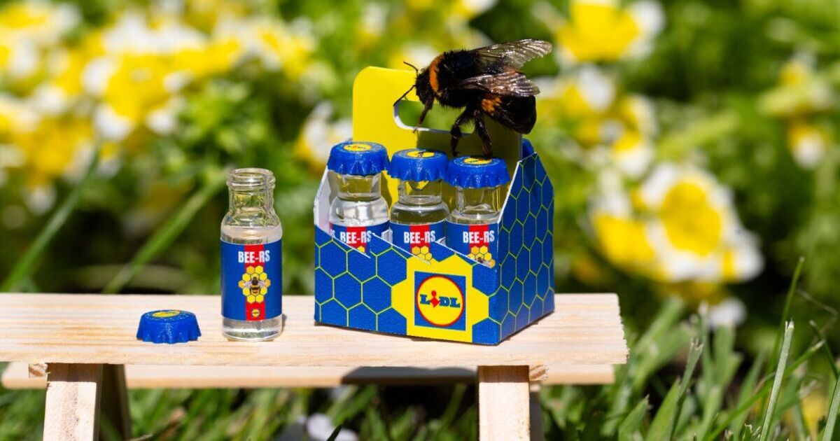 Lidl lance le plus petit pack de six au monde contenant du sirop de sucre pour les abeilles dans le besoin