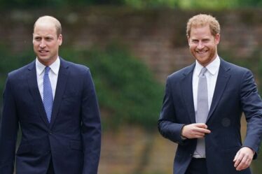SONDAGE : Le prince William devrait-il rencontrer le prince Harry à son retour au Royaume-Uni ?