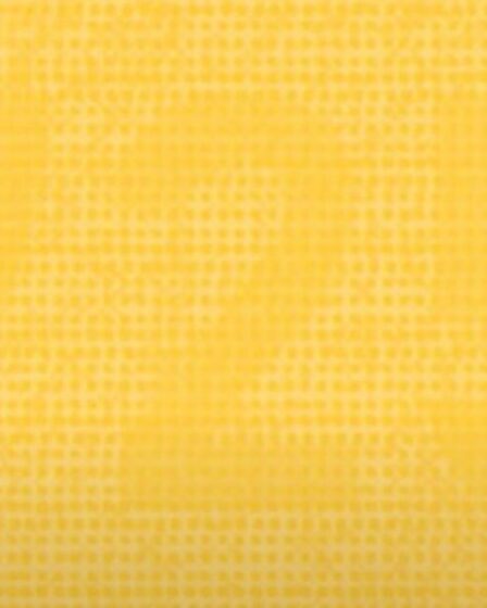 Seuls ceux qui ont des yeux de faucon repéreront le numéro caché en seulement 9 secondes