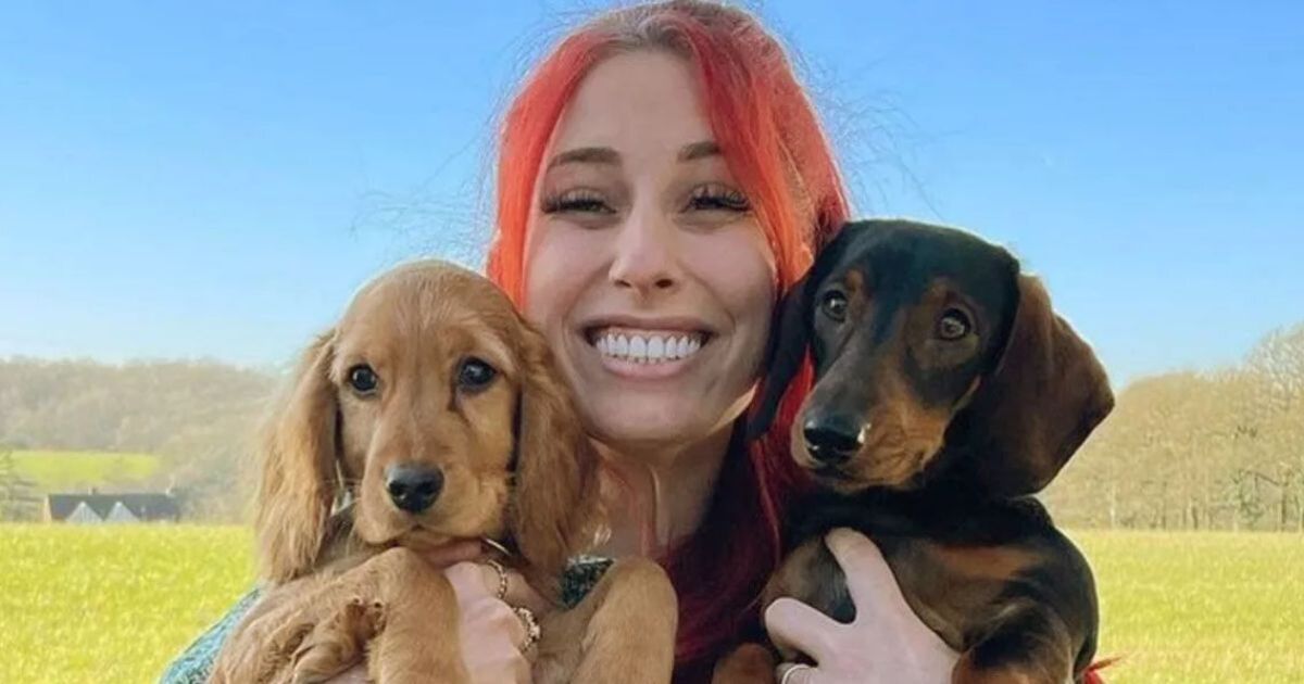 Stacey Solomon fond en larmes alors qu'elle partage une mise à jour émotionnelle sur ses chiens de compagnie bien-aimés